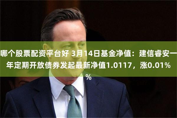 哪个股票配资平台好 3月14日基金净值：建信睿安一年定期开放债券发起最新净值1.0117，涨0.01%