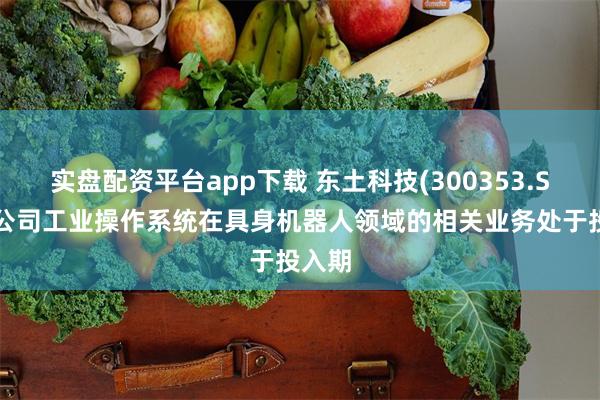 实盘配资平台app下载 东土科技(300353.SZ)：公司工业操作系统在具身机器人领域的相关业务处于投入期