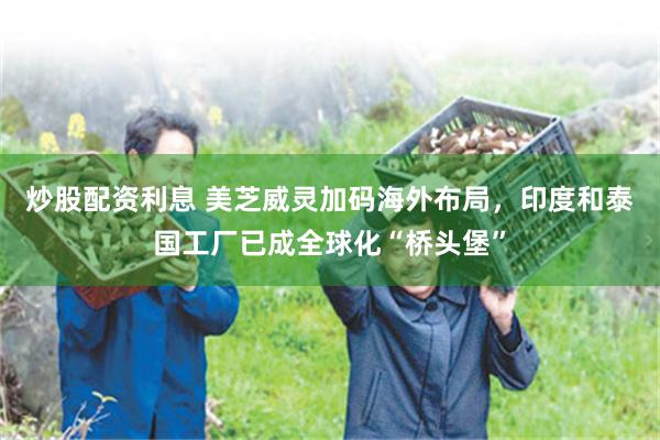 炒股配资利息 美芝威灵加码海外布局，印度和泰国工厂已成全球化“桥头堡”