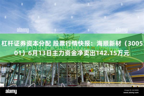 杠杆证券资本分配 股票行情快报：海顺新材（300501）6月13日主力资金净卖出142.15万元