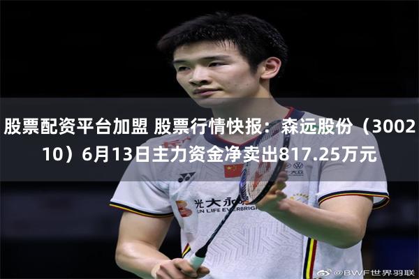 股票配资平台加盟 股票行情快报：森远股份（300210）6月13日主力资金净卖出817.25万元