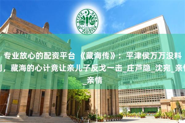 专业放心的配资平台 《藏海传》：平津侯万万没料到，藏海的心计竟让亲儿子反戈一击_庄芦隐_沈宛_亲情
