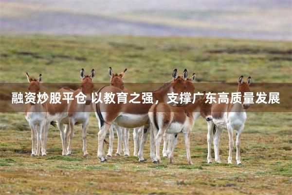 融资炒股平仓 以教育之强，支撑广东高质量发展