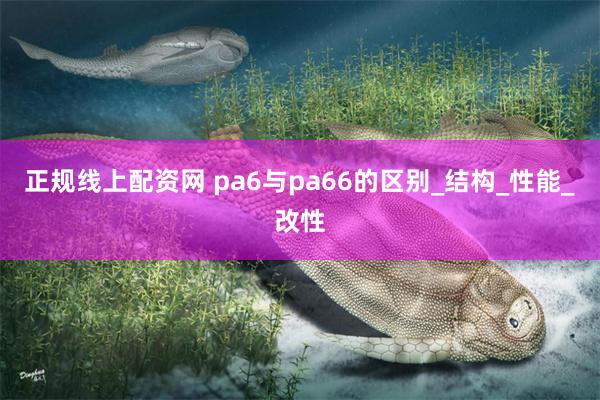 正规线上配资网 pa6与pa66的区别_结构_性能_改性