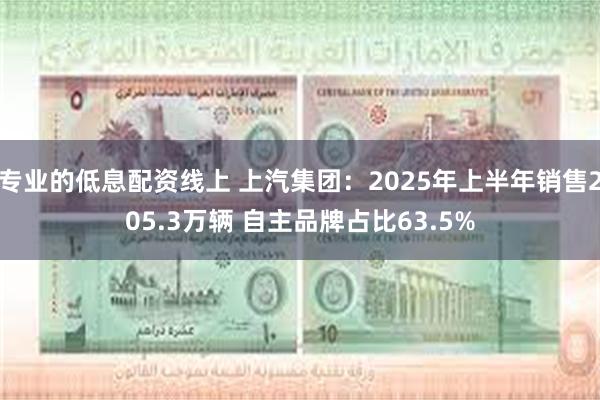 专业的低息配资线上 上汽集团：2025年上半年销售205.3万辆 自主品牌占比63.5%