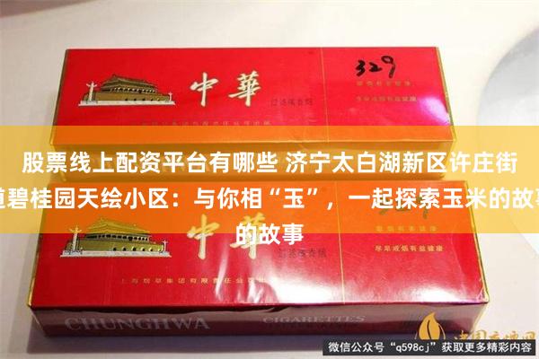 股票线上配资平台有哪些 济宁太白湖新区许庄街道碧桂园天绘小区：与你相“玉”，一起探索玉米的故事