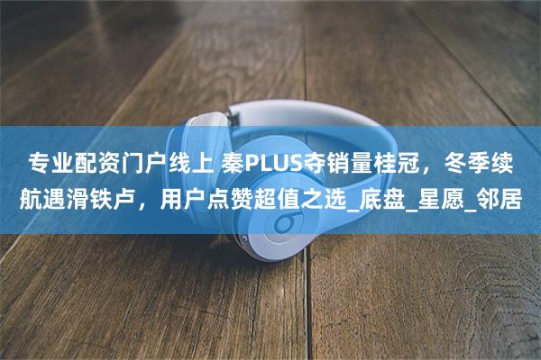 专业配资门户线上 秦PLUS夺销量桂冠，冬季续航遇滑铁卢，用户点赞超值之选_底盘_星愿_邻居