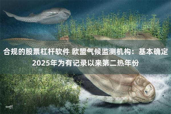 合规的股票杠杆软件 欧盟气候监测机构：基本确定2025年为有记录以来第二热年份