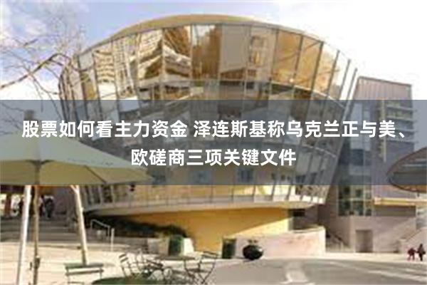 股票如何看主力资金 泽连斯基称乌克兰正与美、欧磋商三项关键文件